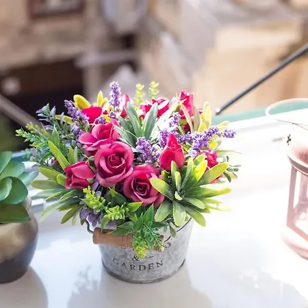 Dio Dream 斯普利特